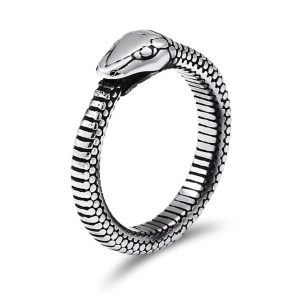 Bague Serpent Ouroboros Homme