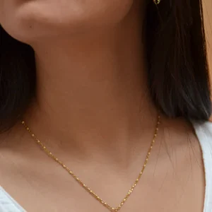 Collier Hippocampe - acier inoxydable doré