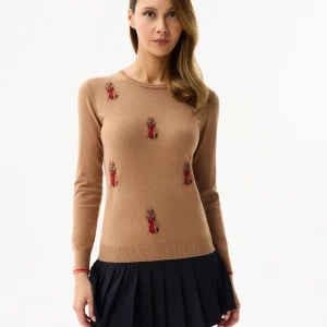 Pull motifs chien